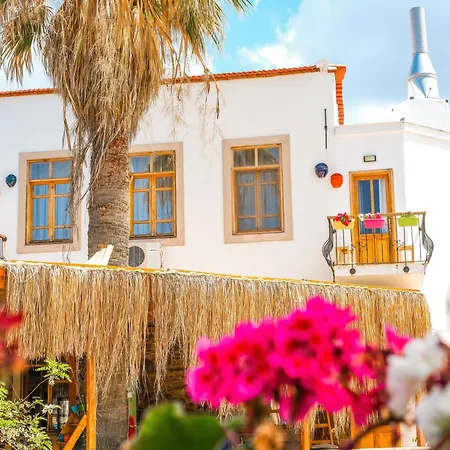 Puerhayal * Cesme