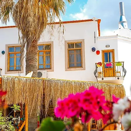 Puerhayal فندق